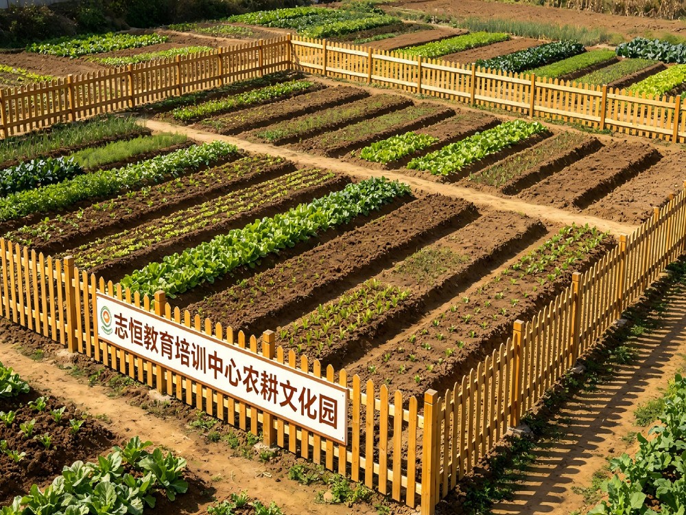 阳江信誉好的叛逆孩子改变学校推荐:专业全封闭管教机构深度解析